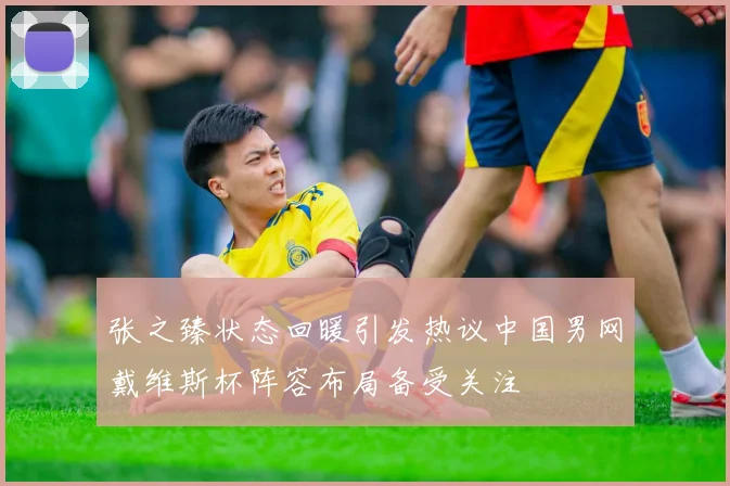 张之臻状态回暖引发热议中国男网戴维斯杯阵容布局备受关注